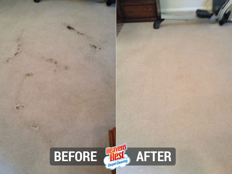 Heaven's Best Carpet Cleaning of Hanford
